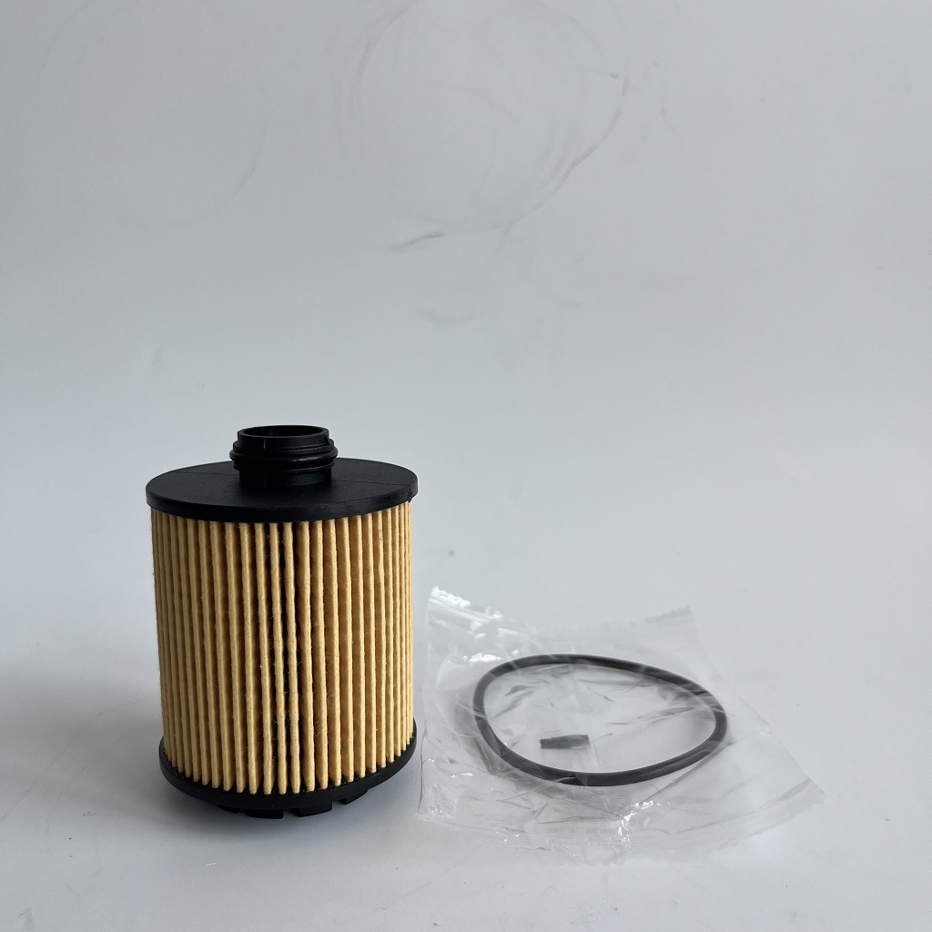 Hu7043Z 1612565980 Ajọ epo fun Petoriot